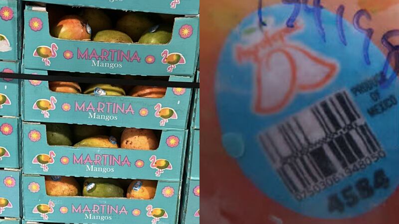 The recalled mangoes are marked with a light blue sticker with the word “Agrofepac” on them.