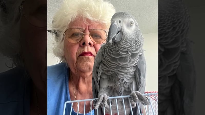 Maria Fraterrigo, 76, is stranded in Puerto Rico after she says Frontier Airlines won’t let...