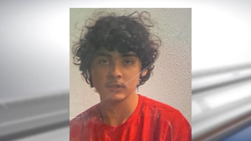 El cuerpo de Michael Martin Ortiz, 16, fue encontrado el viernes, en Houston County Road 4020.